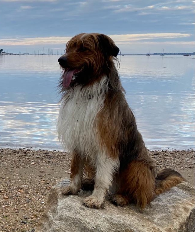 Wäller von der Straubenhalde